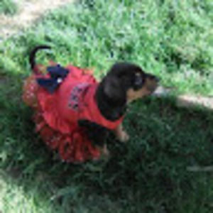 Meet your Posher, Barbara